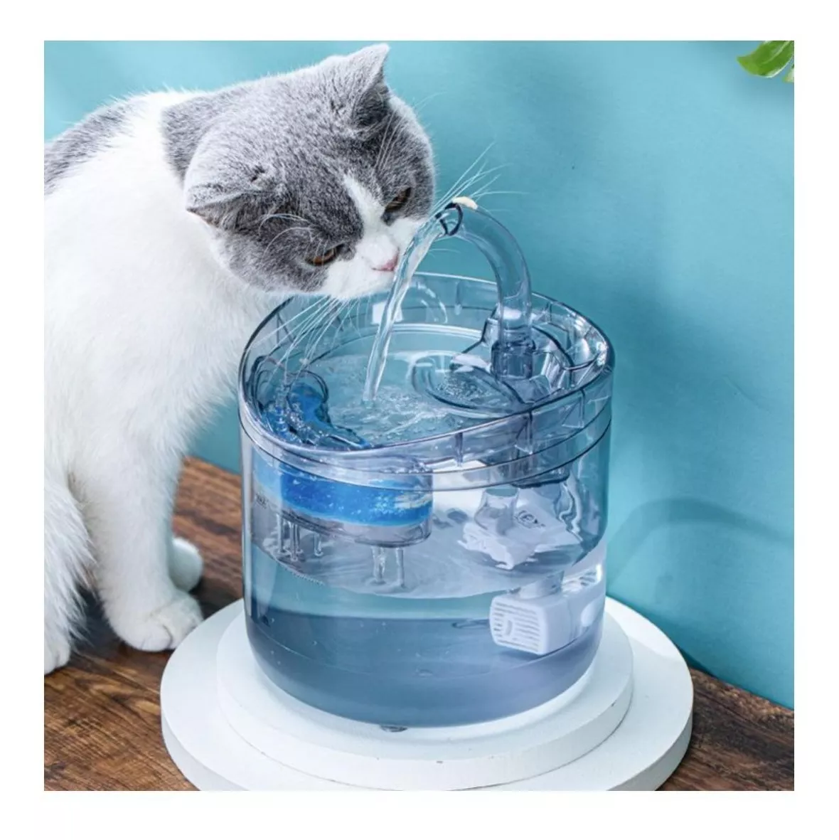 Miniatura 3 de Dispensador De Agua Para Mascota